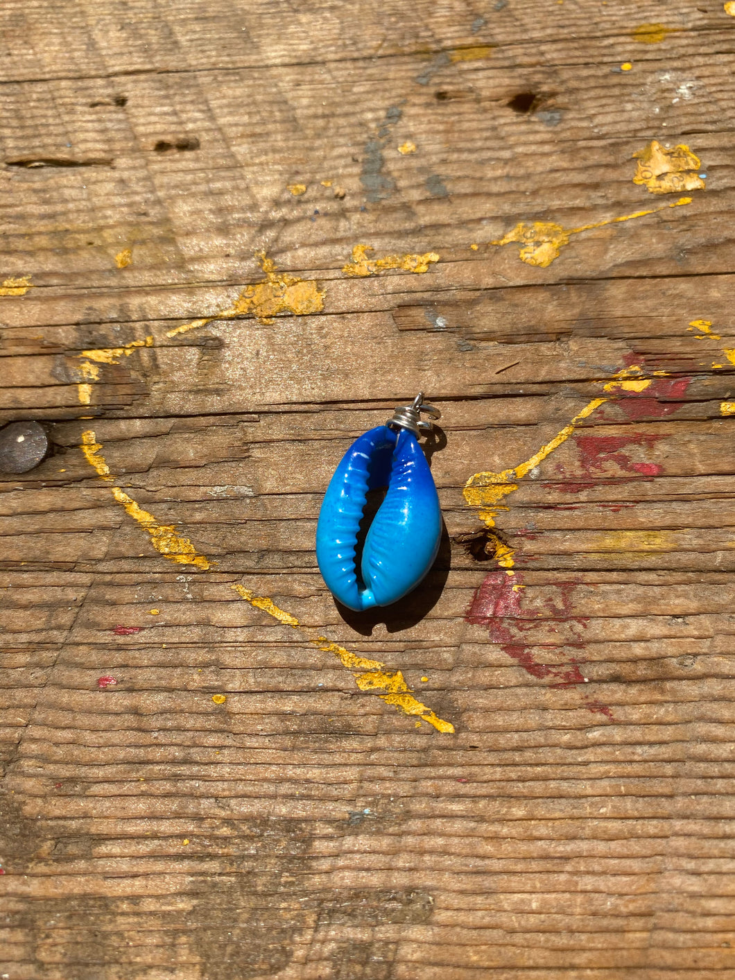 Turquoise Blue Shell